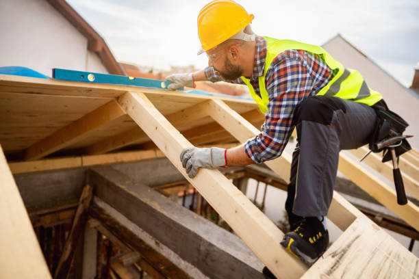Best Roof Maintenance Services  in Todd Creek, CO